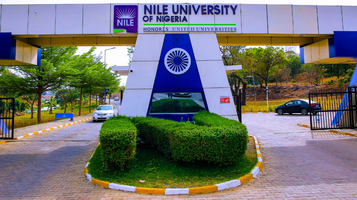 Nigerian colleges are experiencing disregard. Why this ought to stop Nigerian colleges are experiencing disregard. Why this ought to stop