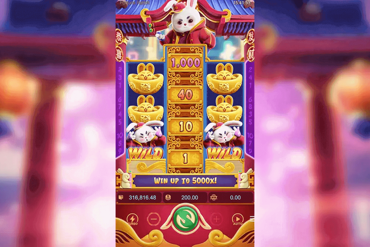 Lot Of Money Bunny por dinheiro de verdade Lot Of Money Bunny por dinheiro de verdade