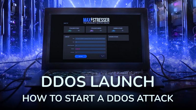 What is an IP stresser? What is an IP stresser?